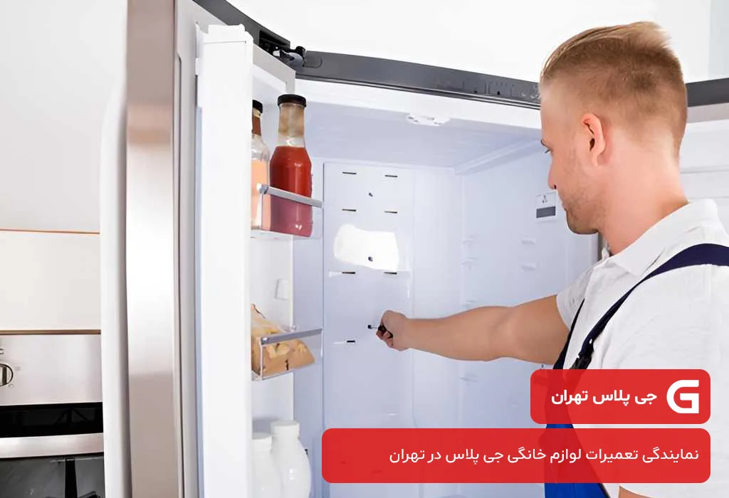 منطق قیمت گذاری مجموعه ما برای تعمیرات یخچال جی پلاس در تهران